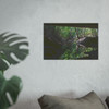 Under the Bridge - Photographic Print