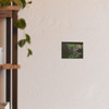 Under the Bridge - Photographic Print