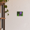Violet Iris - Photographic Print