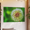 Ready to Start Over - Photographic Print