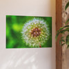 Ready to Start Over - Photographic Print