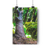 I Am Root - Giclee-Printed Fine Art Photographic Print on Museum Grade Paper