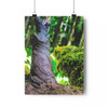 I Am Root - Giclee-Printed Fine Art Photographic Print on Museum Grade Paper