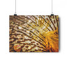 Gold Iris - Giclee-Printed Fine Art Photographic Print on Museum Grade Paper