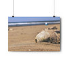 A Few Dollars - Giclee-Printed Fine Art Photographic Print on Museum Grade Paper