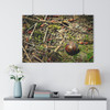 The Slow Lane - Giclee-Printed Fine Art Photographic Print on Museum Grade Paper