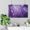 Violet Pedal - Giclee-Printed Fine Art Photographic Print on Museum Grade Paper