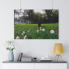 Fairy Ring - Giclee-Printed Fine Art Photographic Print on Museum Grade Paper