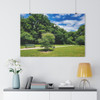 Day at the Park - Giclee-Printed Fine Art Photographic Print on Museum Grade Paper