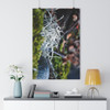 Lichen It - Giclee-Printed Fine Art Photographic Print on Museum Grade Paper