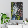 Lichen It - Giclee-Printed Fine Art Photographic Print on Museum Grade Paper