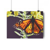 Monarch - Giclee-Printed Fine Art Photographic Print on Museum Grade Paper