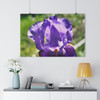 Purple Crown - Giclee-Printed Fine Art Photographic Print on Museum Grade Paper