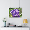 Purple Crown - Giclee-Printed Fine Art Photographic Print on Museum Grade Paper