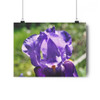 Purple Crown - Giclee-Printed Fine Art Photographic Print on Museum Grade Paper