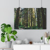 Ancient Copse - Giclee-Printed Fine Art Photographic Print on Museum Grade Paper