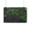 Another Rainy Night - Giclee-Printed Fine Art Photographic Print on Museum Grade Paper
