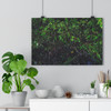 Another Rainy Night - Giclee-Printed Fine Art Photographic Print on Museum Grade Paper