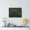 Another Rainy Night - Giclee-Printed Fine Art Photographic Print on Museum Grade Paper