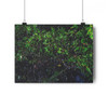 Another Rainy Night - Giclee-Printed Fine Art Photographic Print on Museum Grade Paper