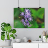 Blue Mist - Giclee-Printed Fine Art Photographic Print on Museum Grade Paper