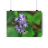 Blue Mist - Giclee-Printed Fine Art Photographic Print on Museum Grade Paper