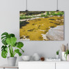 Footsteps of Giants - Giclee-Printed Fine Art Photographic Print on Museum Grade Paper