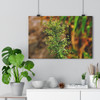 Horseweed - Giclee-Printed Fine Art Photographic Print on Museum Grade Paper