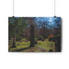 Laid to Rest - Giclee-Printed Fine Art Photographic Print on Museum Grade Paper