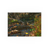Murmuring Brook - Photographic Print