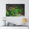 Mystic River - Giclee-Printed Fine Art Photographic Print on Museum Grade Paper