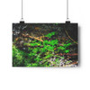 Mystic River - Giclee-Printed Fine Art Photographic Print on Museum Grade Paper