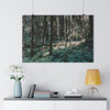 Olympic Moss - Giclee-Printed Fine Art Photographic Print on Museum Grade Paper