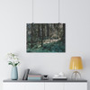 Olympic Moss - Giclee-Printed Fine Art Photographic Print on Museum Grade Paper