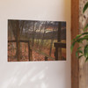 Ozark Fall - Photographic Print
