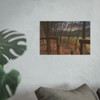 Ozark Fall - Photographic Print
