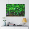 Pink Jasmine - Giclee-Printed Fine Art Photographic Print on Museum Grade Paper