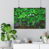 Pink Jasmine - Giclee-Printed Fine Art Photographic Print on Museum Grade Paper