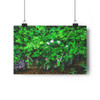 Pink Jasmine - Giclee-Printed Fine Art Photographic Print on Museum Grade Paper