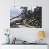 Quillayute Coast - Giclee-Printed Fine Art Photographic Print on Museum Grade Paper