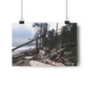 Quillayute Coast - Giclee-Printed Fine Art Photographic Print on Museum Grade Paper