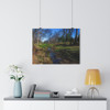Reverchon Park - Giclee-Printed Fine Art Photographic Print on Museum Grade Paper