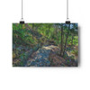 Reverchon Road - Giclee-Printed Fine Art Photographic Print on Museum Grade Paper
