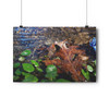 Ripples - Giclee-Printed Fine Art Photographic Print on Museum Grade Paper