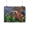 Ripples - Giclee-Printed Fine Art Photographic Print on Museum Grade Paper