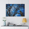 Rising Saint - Giclee-Printed Fine Art Photographic Print on Museum Grade Paper