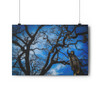 Rising Saint - Giclee-Printed Fine Art Photographic Print on Museum Grade Paper