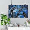 Rising Saint - Giclee-Printed Fine Art Photographic Print on Museum Grade Paper