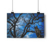 Rising Saint - Giclee-Printed Fine Art Photographic Print on Museum Grade Paper
