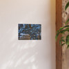 Rock Beats Paper - Photographic Print